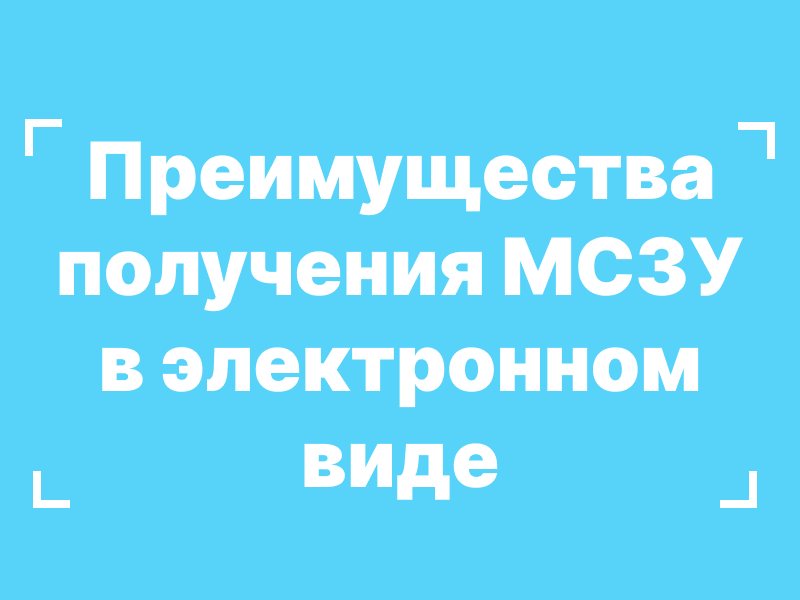 Преимущества получения массовых социально значимых услуг в электронном виде.