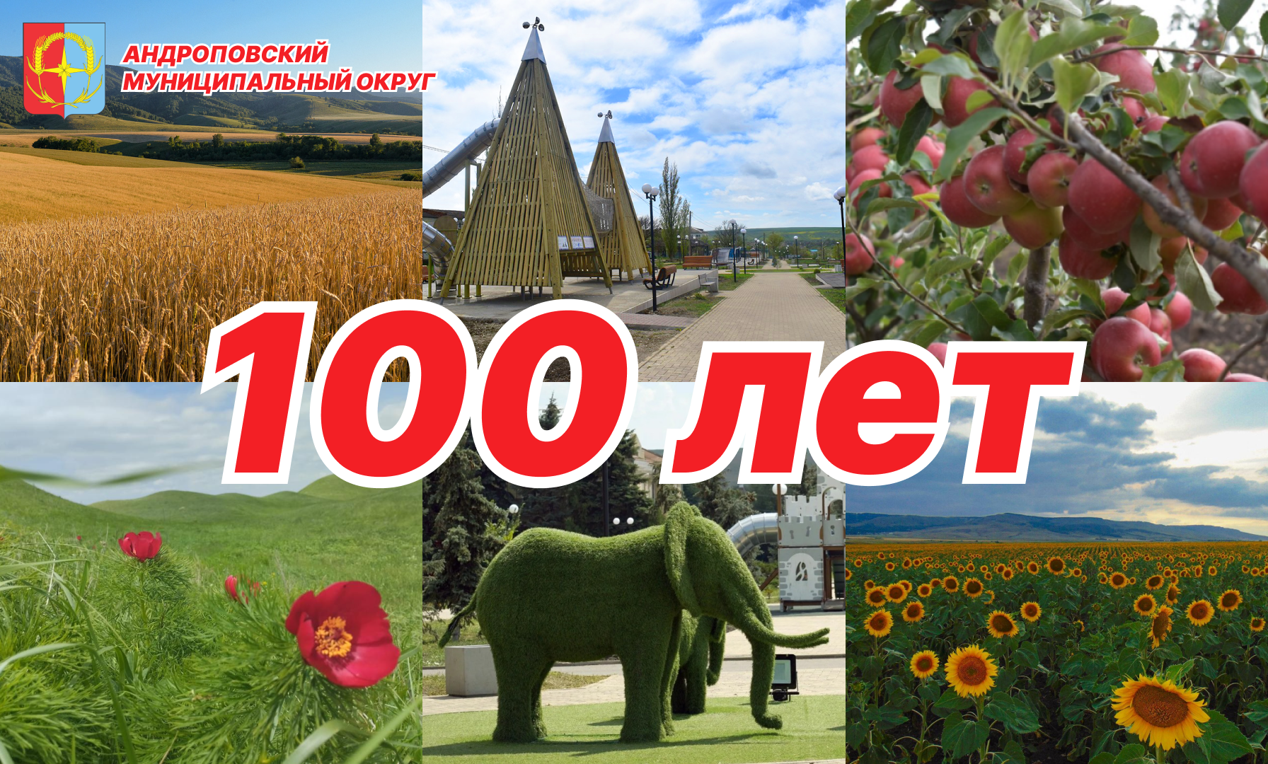 100 лет Андроповскому району.