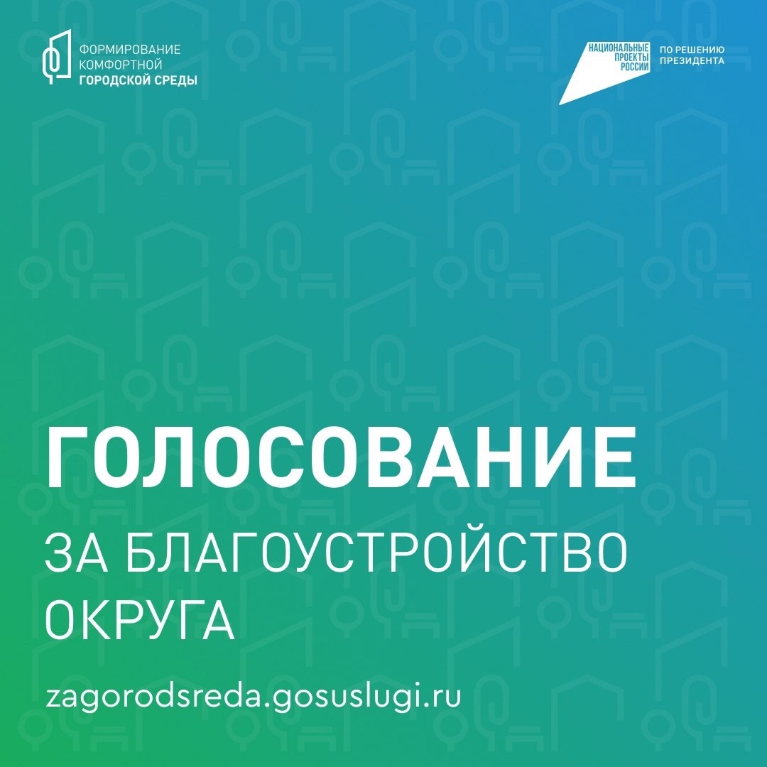 Голосование за благоустройство округа.