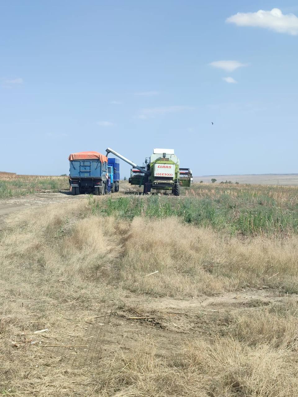 Сельскохозяйственные работы продолжаются.