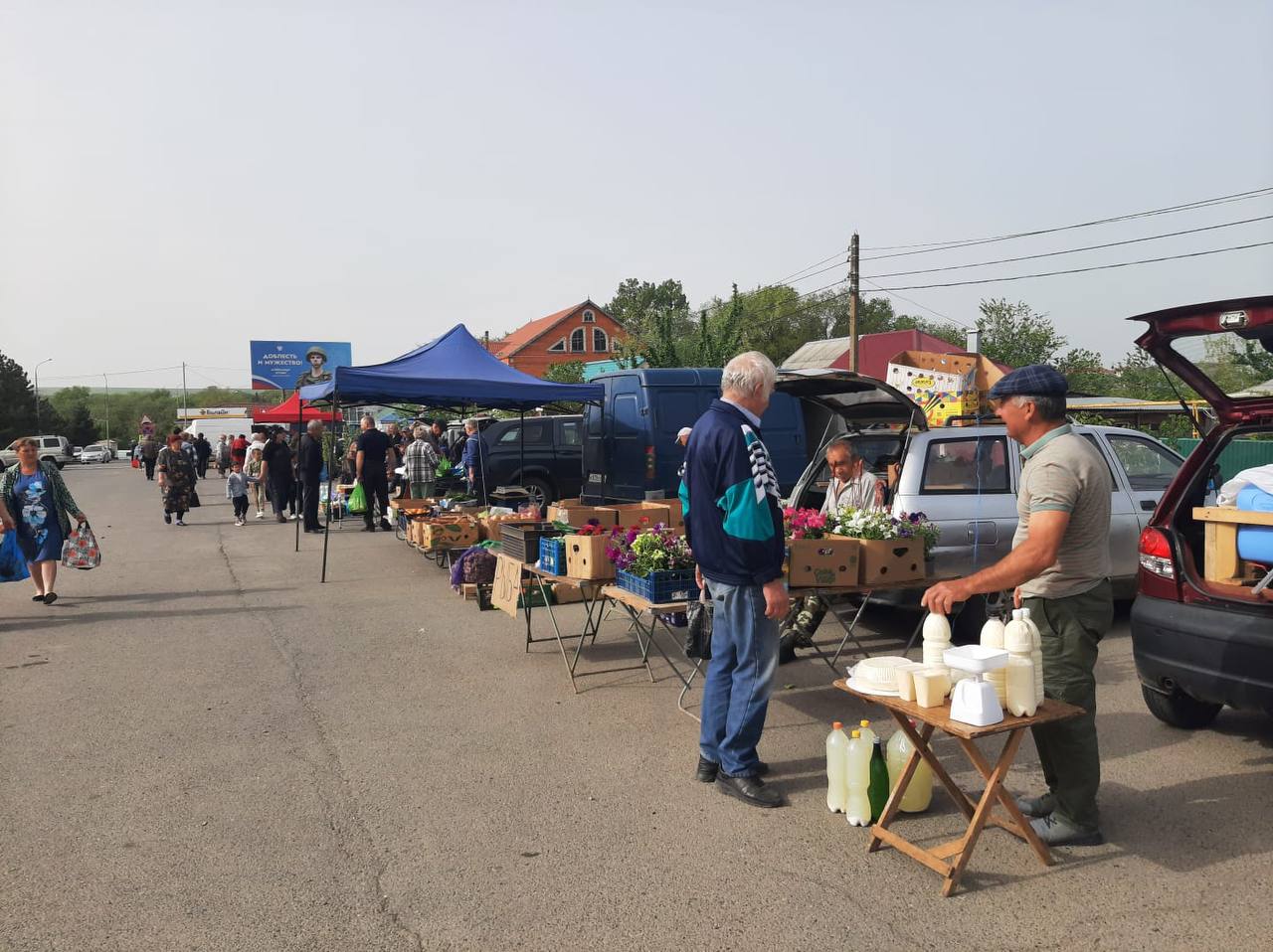 Сельскохозяйственная ярмарка.