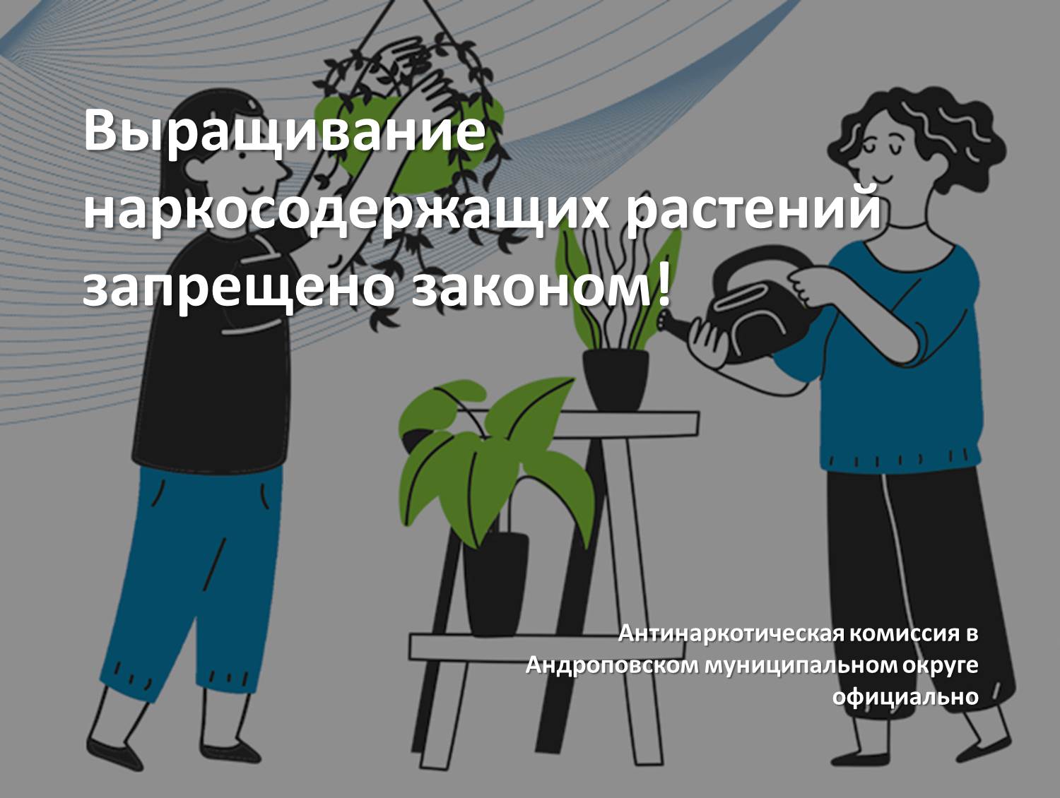 Выращивание наркосодержащих растений запрещено законом!.