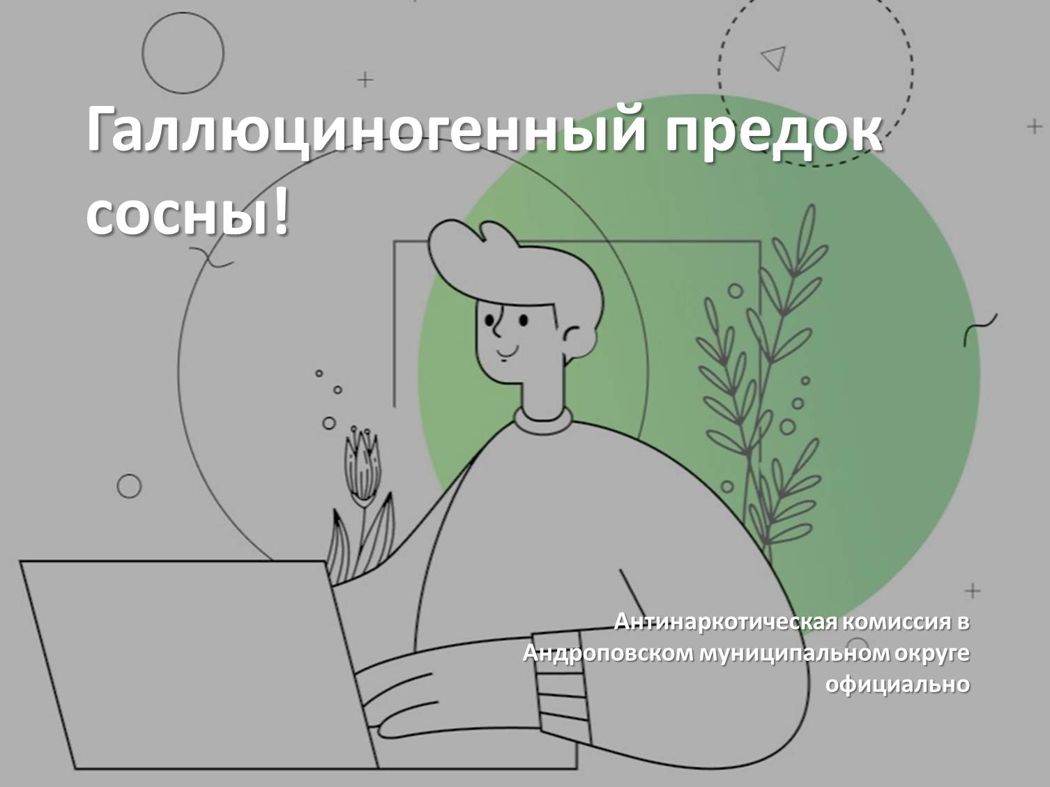 Галлюциногенный предок сосны!.