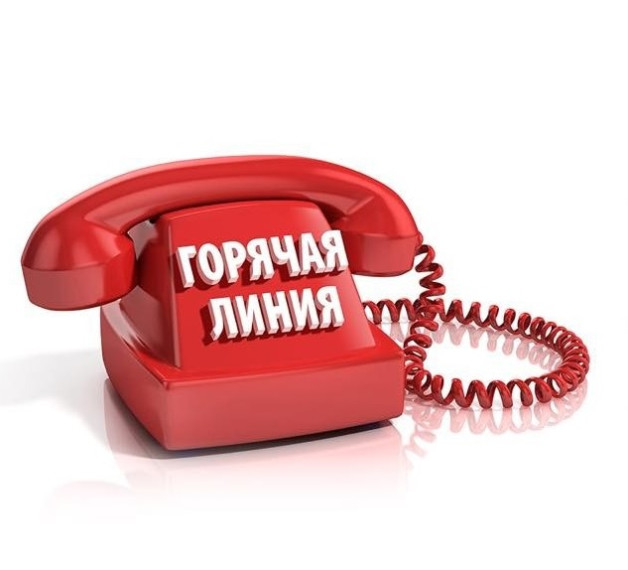 “Горячая линия” для связи с избирателями. “Горячая линия” для связи с избирателями.