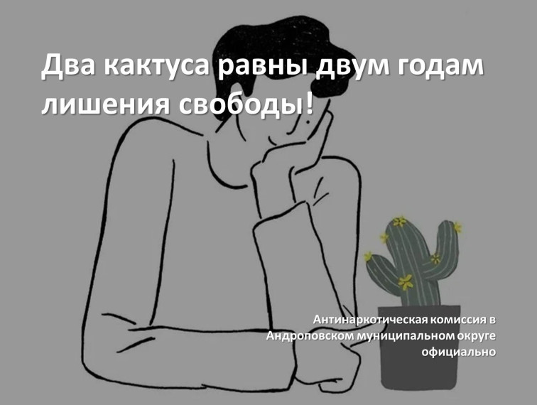 Два кактуса равны двум годам лишения свободы!. Два кактуса равны двум годам лишения свободы!.